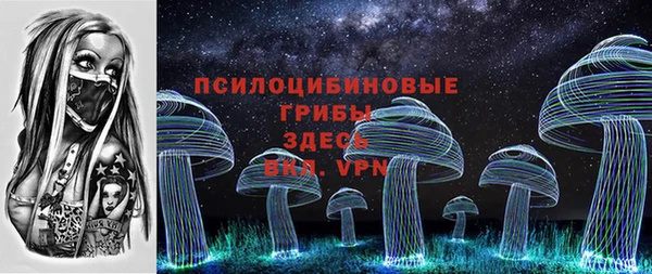 хмурый Алзамай