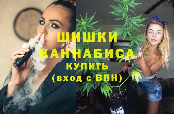 МДПВ Алексеевка