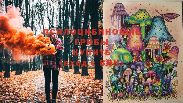 МДПВ Алексеевка
