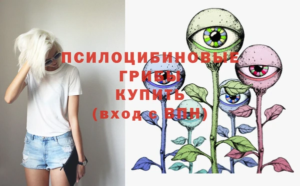 PSILOCYBIN Алексин