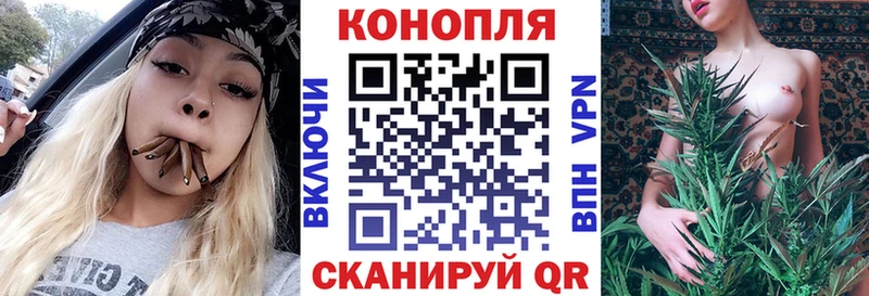Шишки марихуана THC 21%  наркошоп  Чадан 